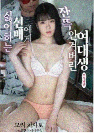 回声档案馆 剧集封面
